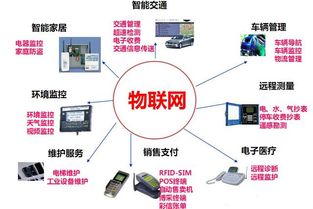 高考之后，專業(yè)抉擇 為何說計(jì)算機(jī)網(wǎng)絡(luò)工程是通往未來的關(guān)鍵一步